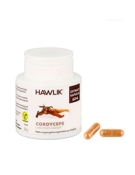 Cordyceps Sinensis Supplement for Energy & Endurance Cordyceps Sinensis Supplement for Energy & Endurance