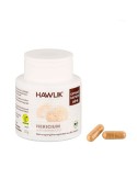 Crinière de Lion HERICIUM 60 Capsules Bio
