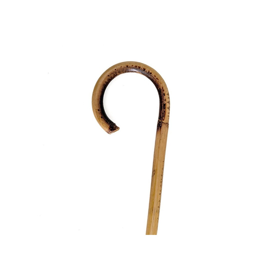 Canne de roseau avec pommeau en bois - Tradition & Sécurité