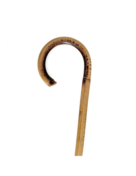 Canne de roseau avec pommeau en bois - Tradition & Sécurité