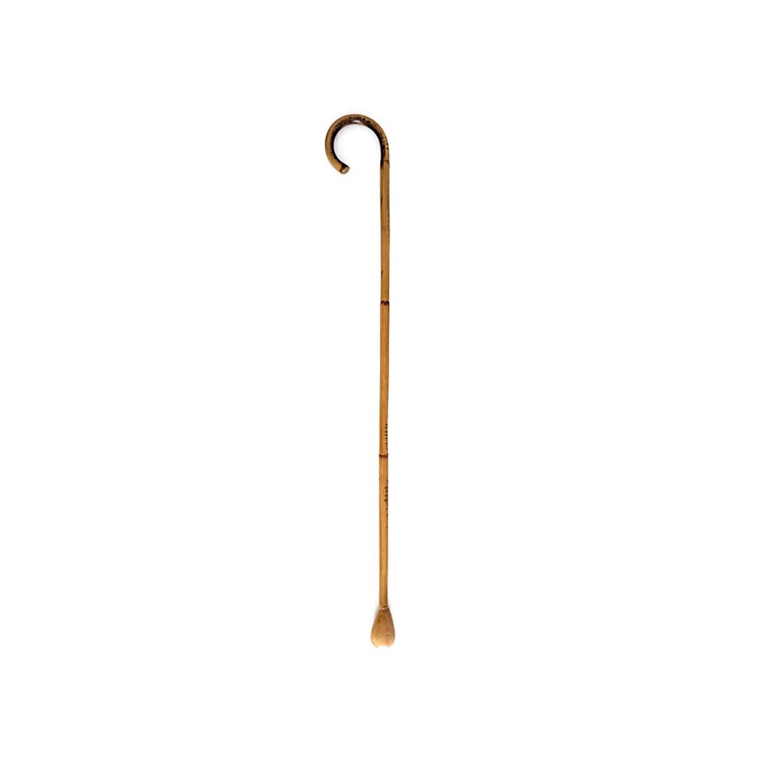 Canne de roseau avec pommeau en bois - Tradition & Sécurité Canne de roseau avec pommeau en bois - Tradition & Sécurité