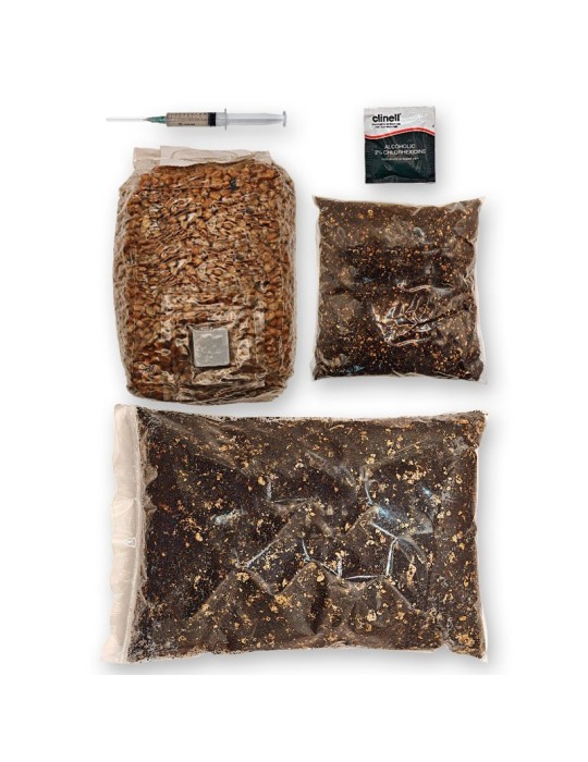 Kit L2G Liquid to Grain - Cultivo de Cogumelos Profissional Kit L2G Liquid to Grain - Cultivo de Cogumelos Profissional