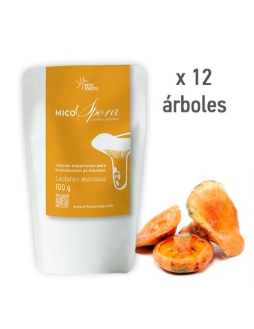 MicoSpora Níscalo - Inóculo Micorrícico Lactarius Deliciosus 2