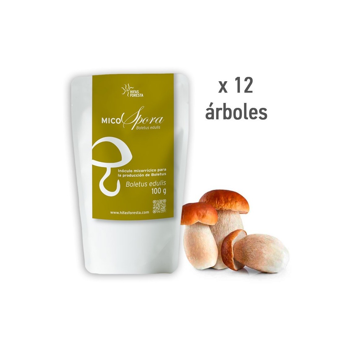 MicoSpora Boletus - Coltiva Funghi Boletus Edulis...