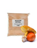 Solução Espórica Amanita Caesarea - Nutrição Natural...
