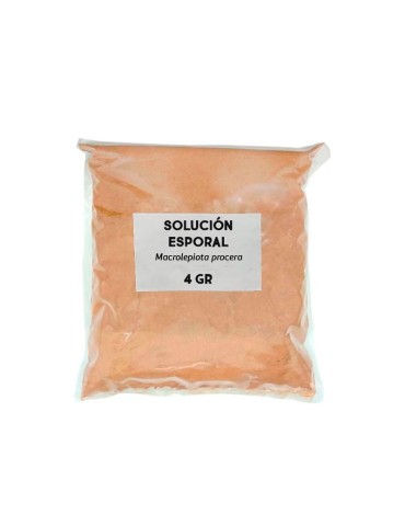 Solução Esporal Macrolepiota procera - Crescimento de... 2