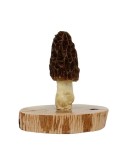 Réplica realista de seta Morchela dunalii en resina sobre peana de madera natural, 12 cm.
