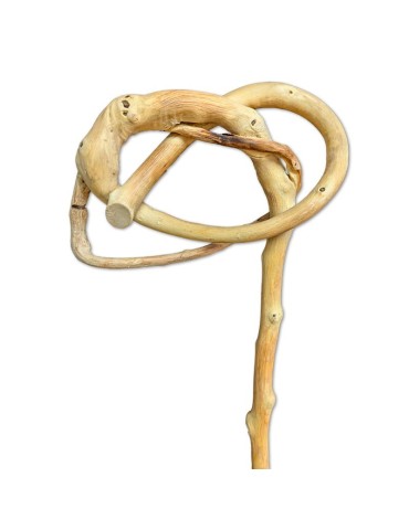 Bastón Artesano Madera Almez N3 2