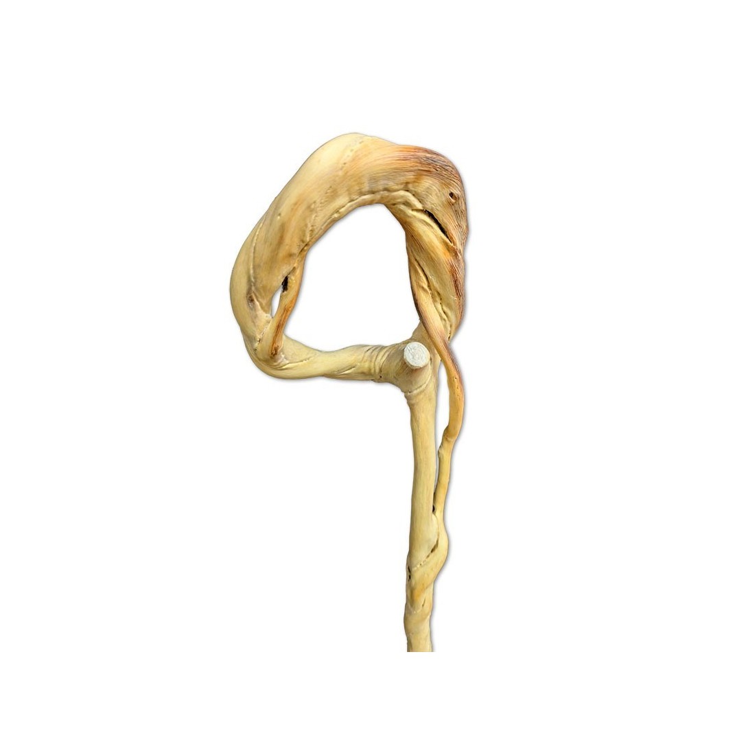 Bastone Artigianale in Legno Olmo N6 - Eleganza e...