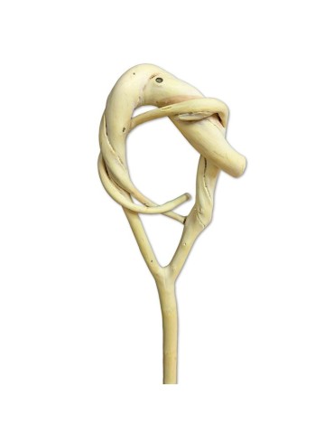 Bastón Artesano Madera Almez N7 - Soporte y Elegancia 2