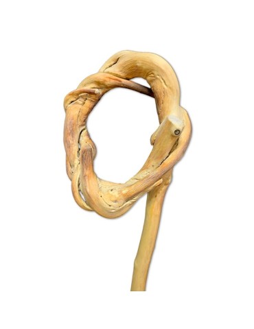 Handgefertigter Olivenholzstock – Stil & Funktion 2