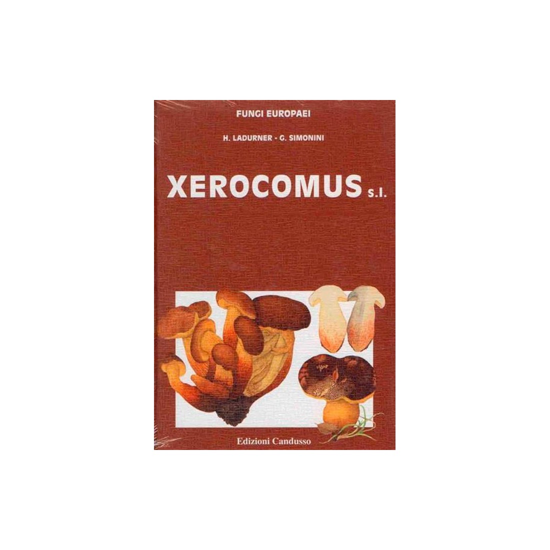 Xerocomus - Serie FUNGI EUROPAEI | Guía Micológica Detallada
