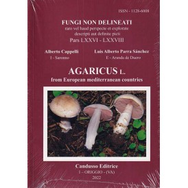 Agaricus Allopsalliota I -...