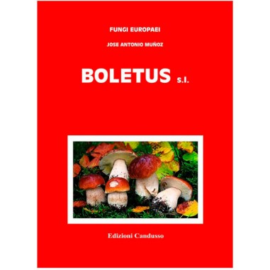 Boletus sl - Serie FUNGI EUROPAEI