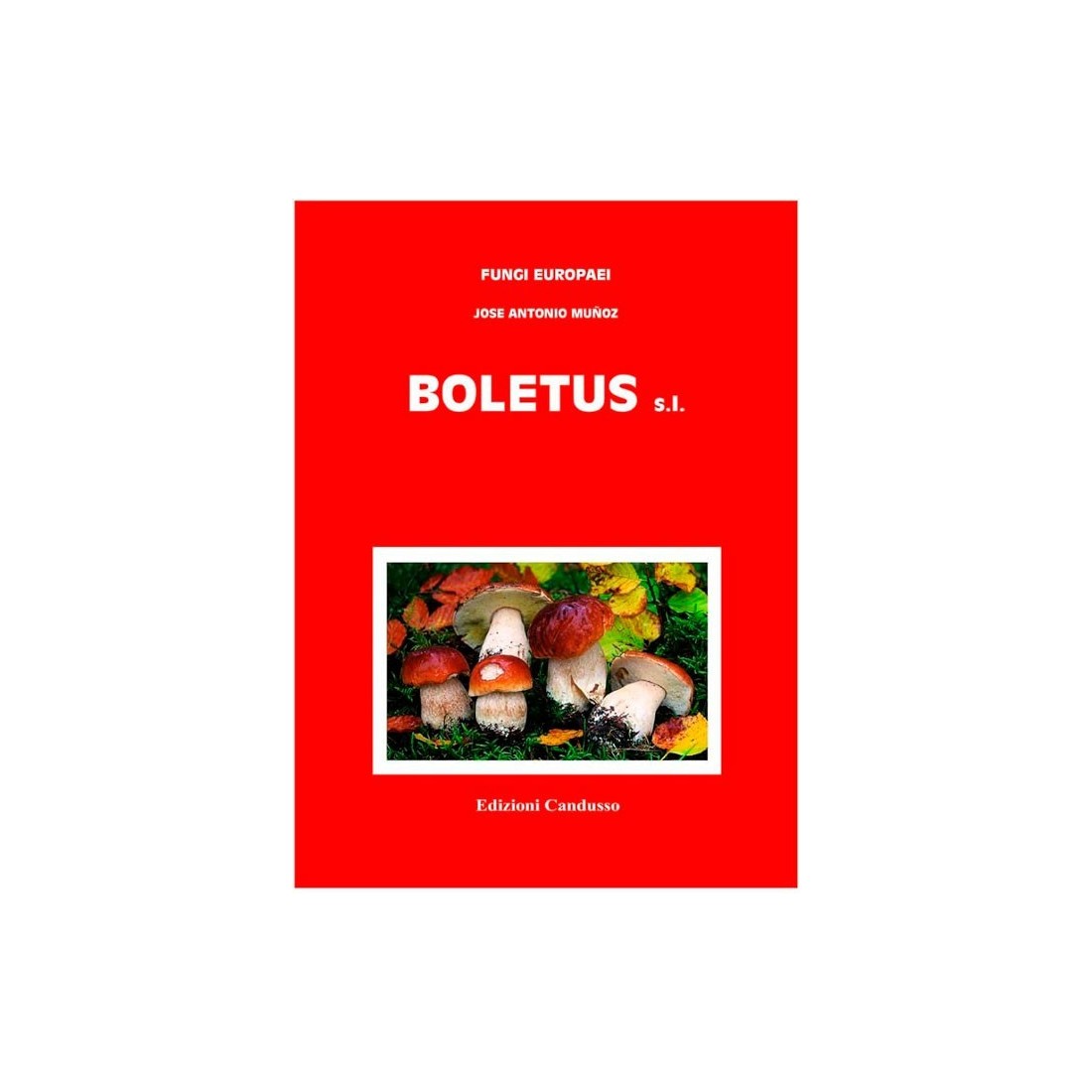 Guia Completo de Cogumelos - FUNGI EUROPAEI Boletus sl Guia Completo de Cogumelos - FUNGI EUROPAEI Boletus sl