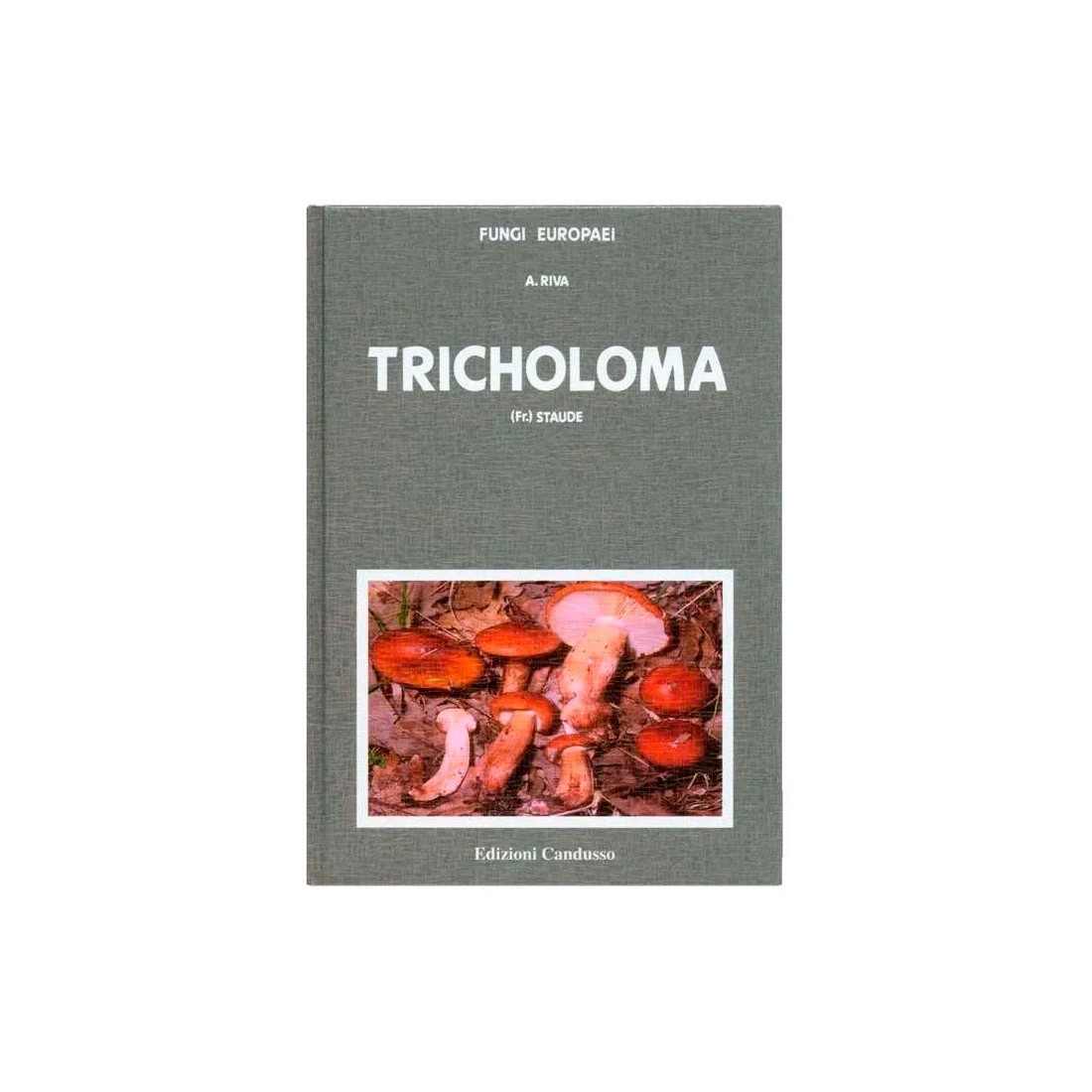 Guide Champignons Européens Tricholoma - Fungi Europaei Guide Champignons Européens Tricholoma - Fungi Europaei