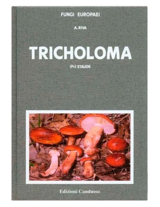 Guide Champignons Européens Tricholoma - Fungi Europaei Guide Champignons Européens Tricholoma - Fungi Europaei