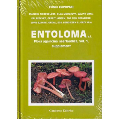 Entoloma - Serie FUNGI EUROPAEI