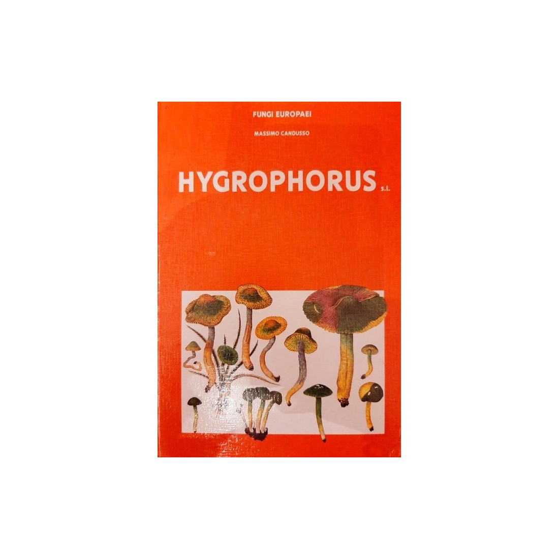 Guide Champignons Europe - Fungi Europaei Agaricus...