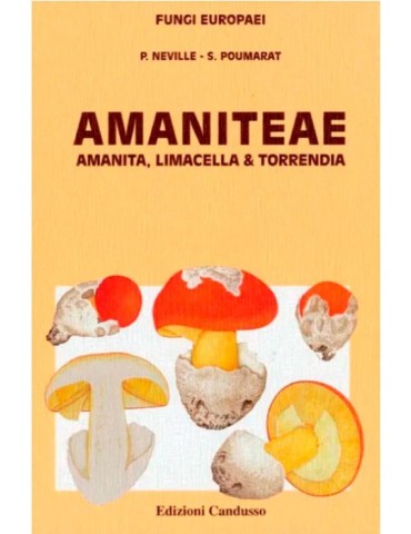 Guide Champignons Européens Amaniteae Fungi Europaei