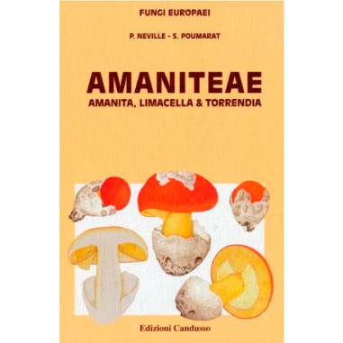 Amaniteae - Serie FUNGI EUROPAEI