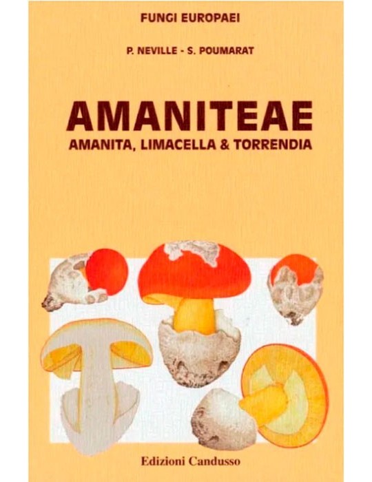 Guide Champignons Européens Amaniteae Fungi Europaei