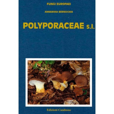 copy of Agaricus Allopsalliota I -...