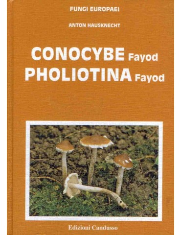 Guía Definitiva Conocybe Pholiotina - Serie FUNGI EUROPAEI