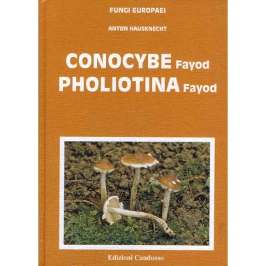 Conocybe Pholiotina - Serie FUNGI...