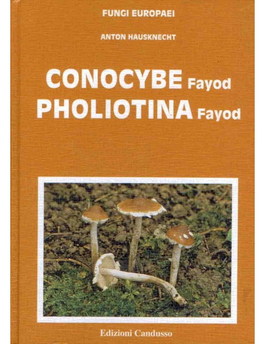 Guide Mycologie Européenne - Conocybe Pholiotina Fungi... Guide Mycologie Européenne - Conocybe Pholiotina Fungi...