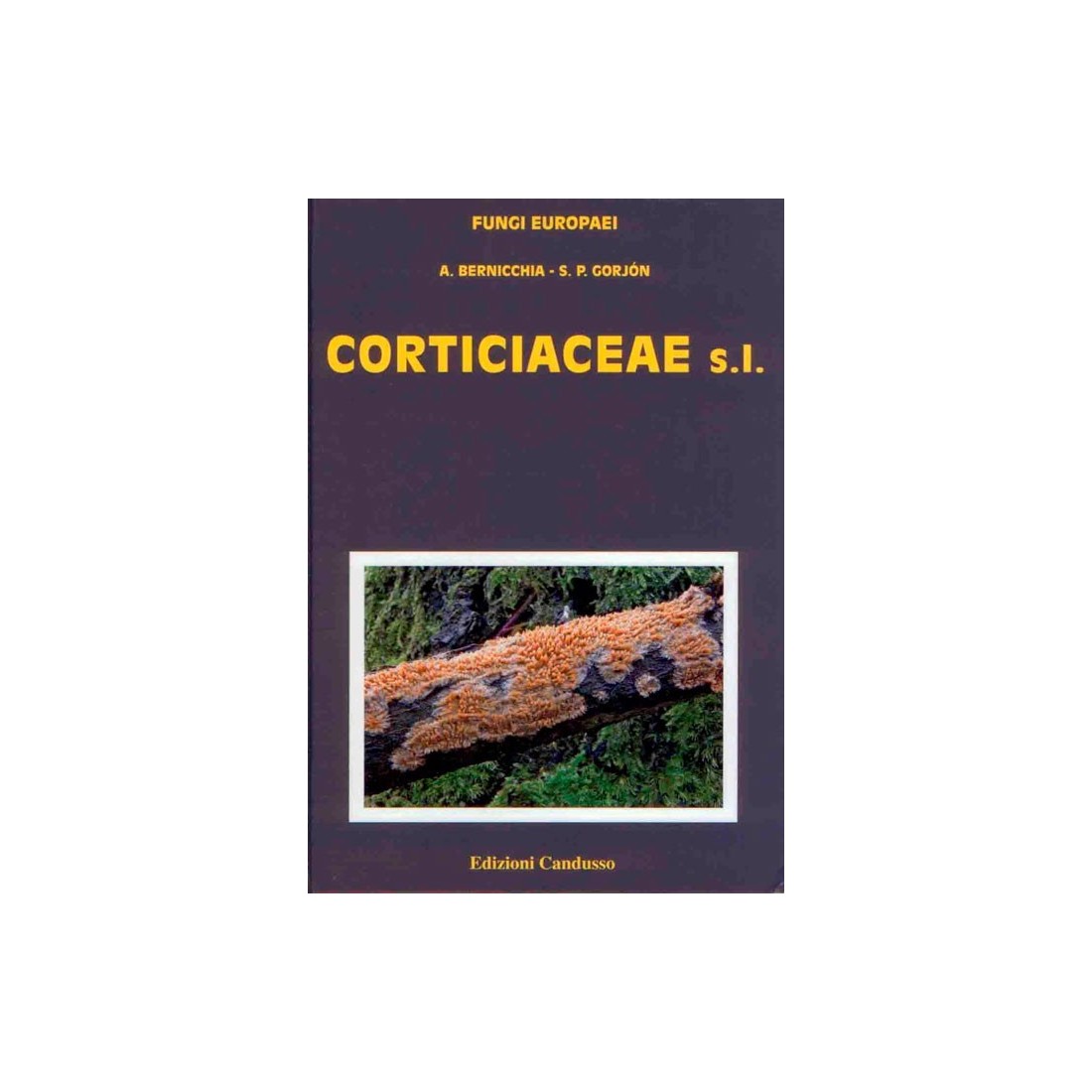 Agaricus Allopsalliota – Faszinierende... Agaricus Allopsalliota – Faszinierende...