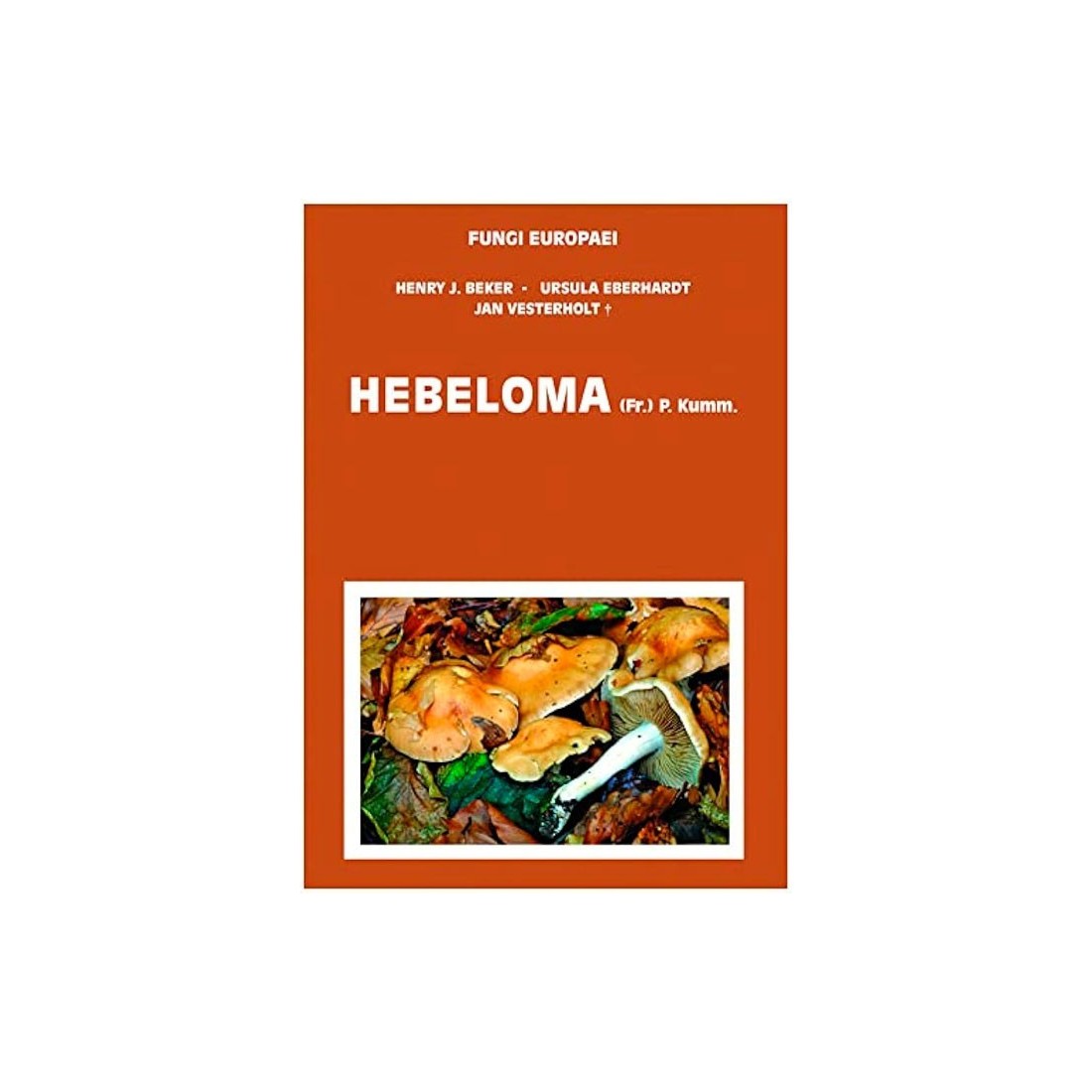 Agaricus Allopsalliota I - Fungi Europaei Series Book Agaricus Allopsalliota I - Fungi Europaei Series Book