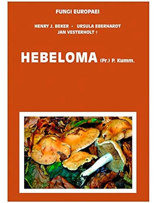 Hebeloma Fungi Europaei - Guía Micológica Definitiva Hebeloma Fungi Europaei - Guía Micológica Definitiva