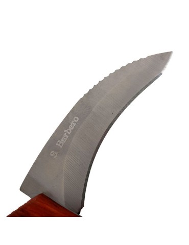 copy of Mushroom knife with brush and sheath 2