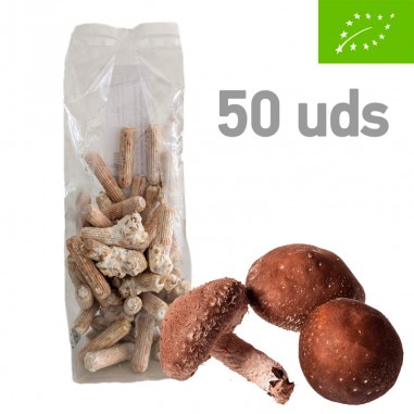 Micelio en pellet de Shiitake, 50 uds