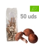 Micelio Pellet Shiitake, 50uds Fácil Crecimiento