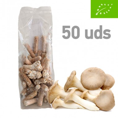 Micelio en pellet de P. eryngii, 50 uds