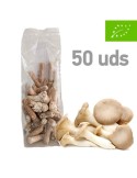Mycelium Pellets P. eryngii - 50 Units for Healthy Growth