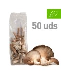 Micelio Pellet P. ostreatus 50uds | Salud Óptima y Vitalidad