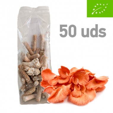 Micelio en pellet de P. djamor, 50 uds