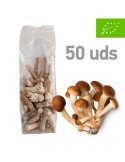 Micelio Pellet A. aegerita | 50uds | Sabor y Salud