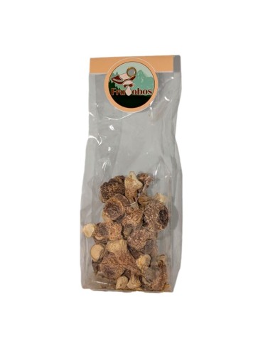 Fungo del Sole Essiccato - Sano e Gourmet 2