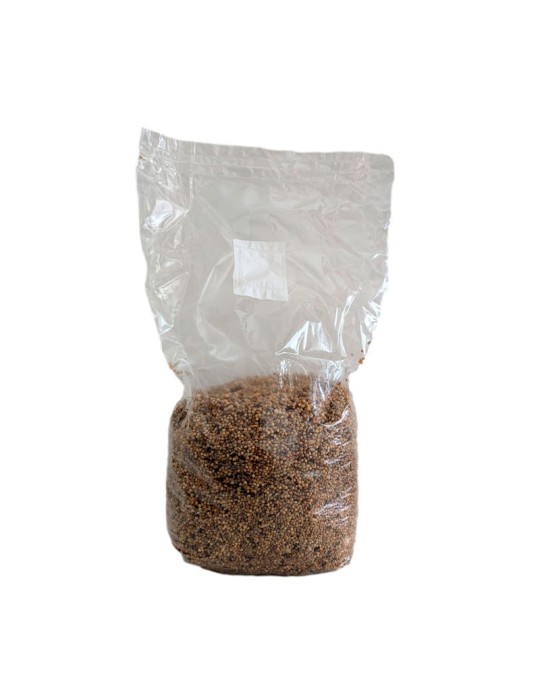 Grano di Cereale Sterilizzato - Nutrizione e Benessere Grano di Cereale Sterilizzato - Nutrizione e Benessere