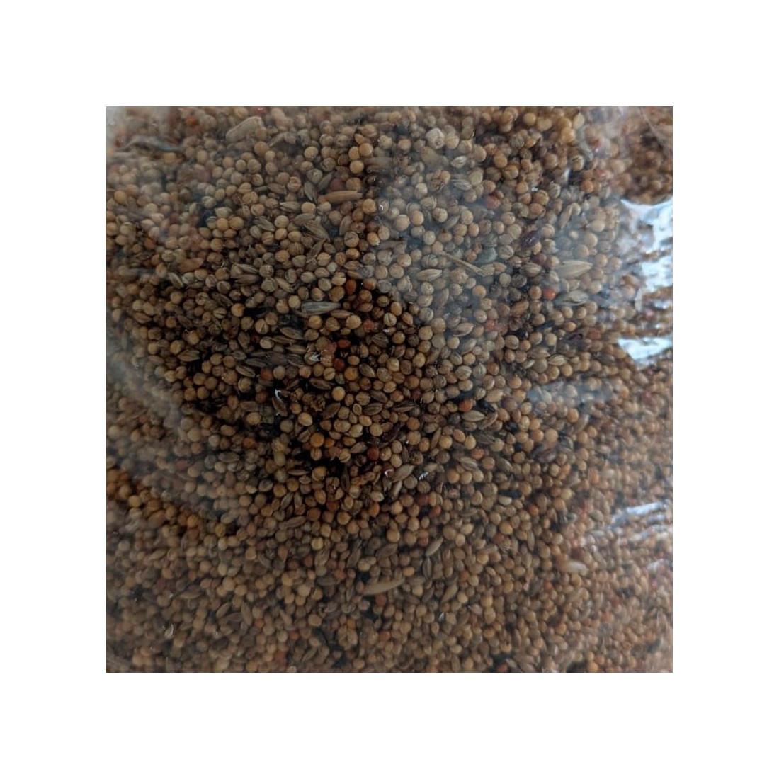 Grão de Cereal Esterilizado - Nutrição e Bem-estar