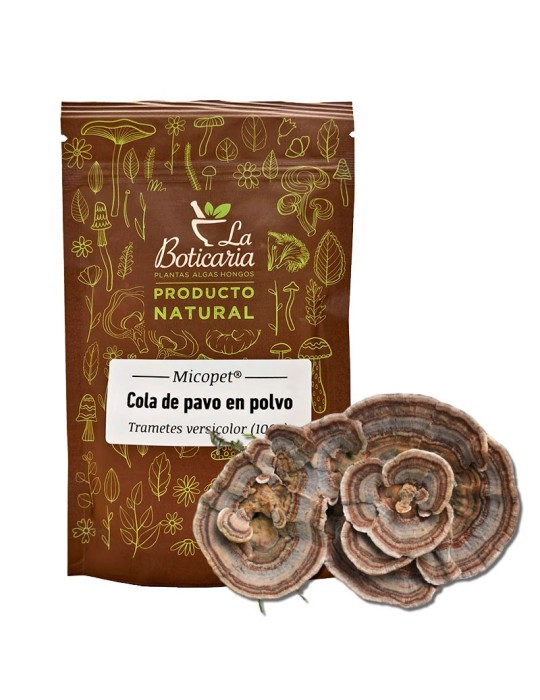 Cola de Pavo en polvo. 100 gr (Trametes versicolor) MicoPet Cola de Pavo en polvo. 100 gr (Trametes versicolor) MicoPet