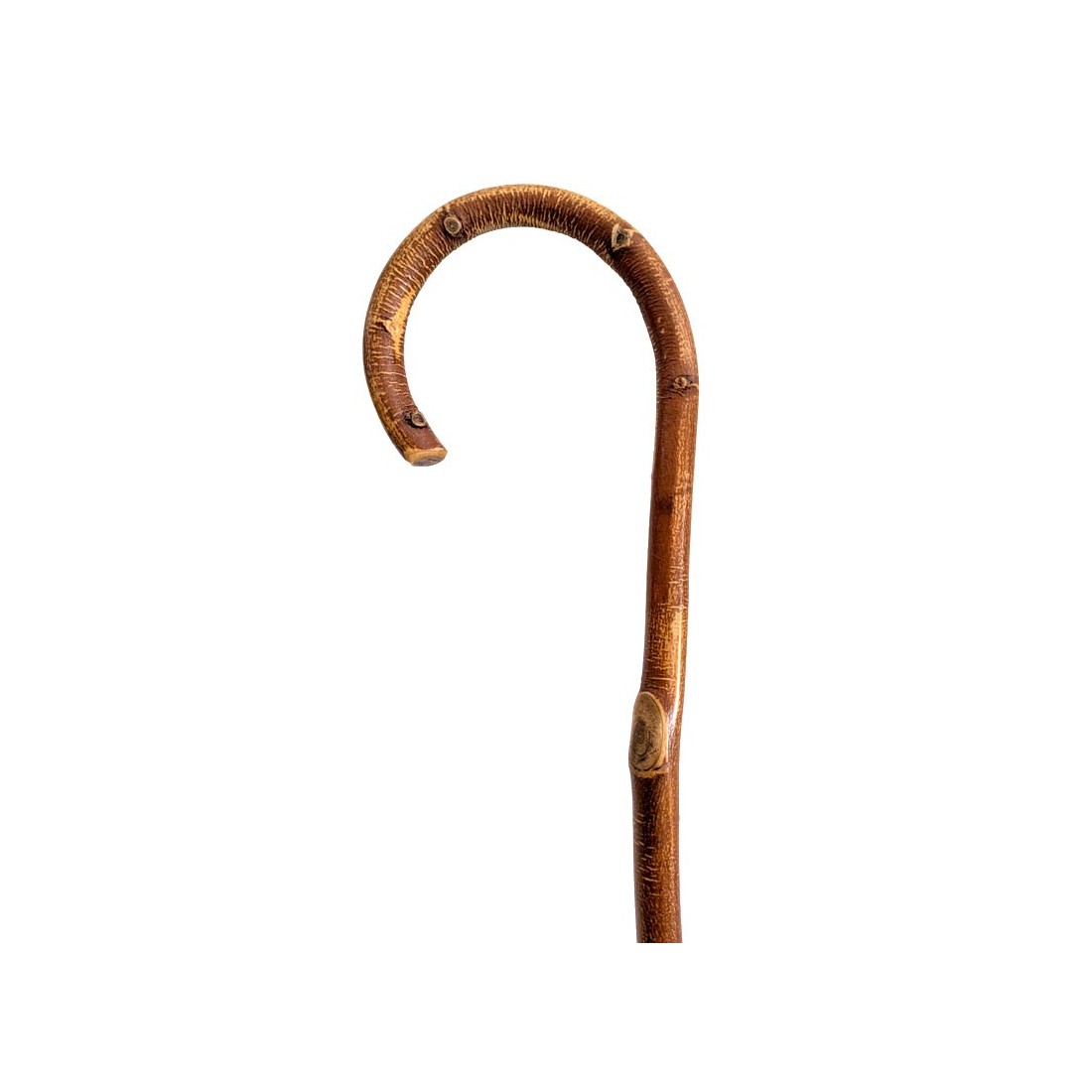 Kastanien-Gayato mit Knoten - Tradition und Wirksamkeit