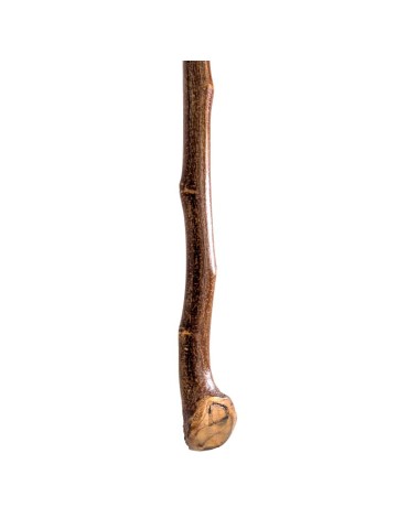 Chestnut Gayato with Knots and Handle - Style and Functionality 2