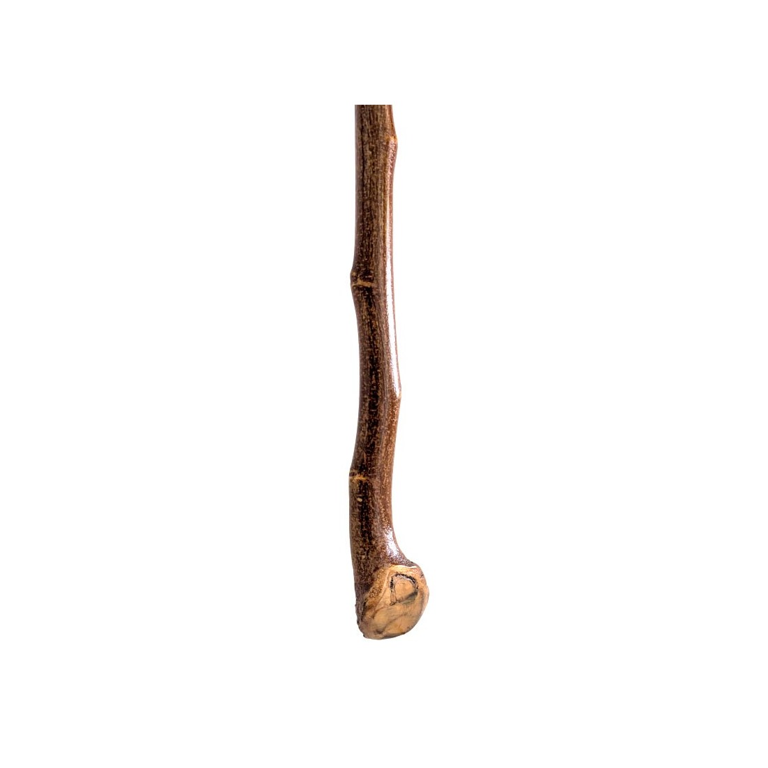 Chestnut Gayato with Knots and Handle - Style and Functionality