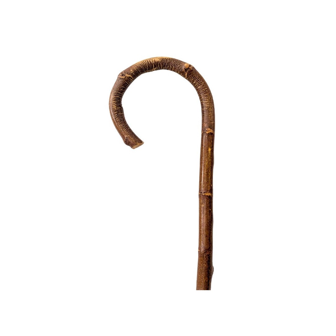 Chestnut Gayato with Knots and Handle - Style and Functionality