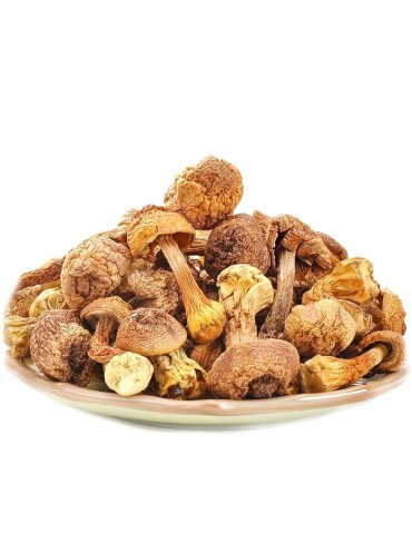 Dehydrated sun mushroom